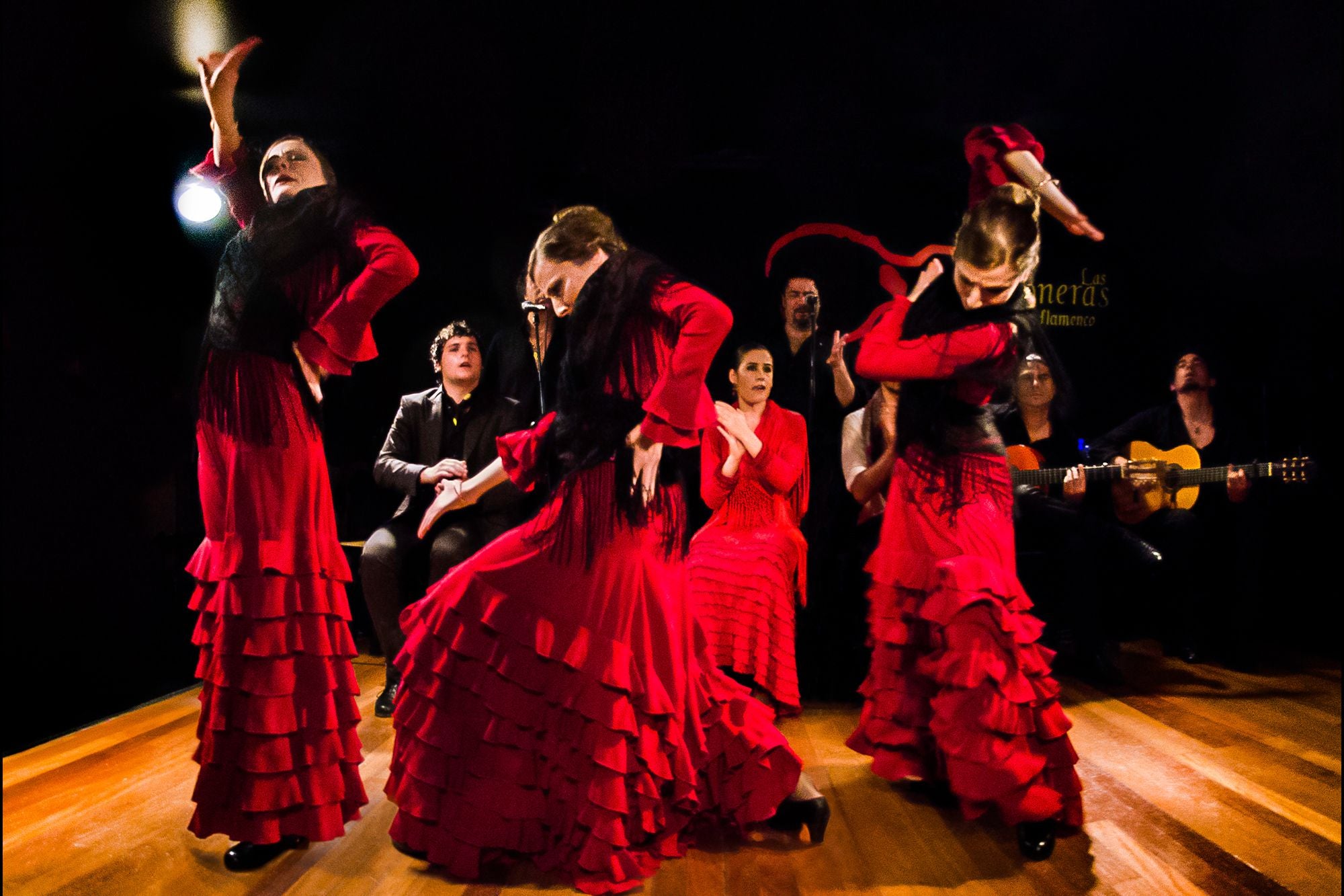 Tour nocturno por Madrid + Espectáculo flamenco