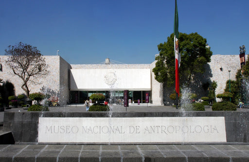 Visita guiada al Museo de Antropología